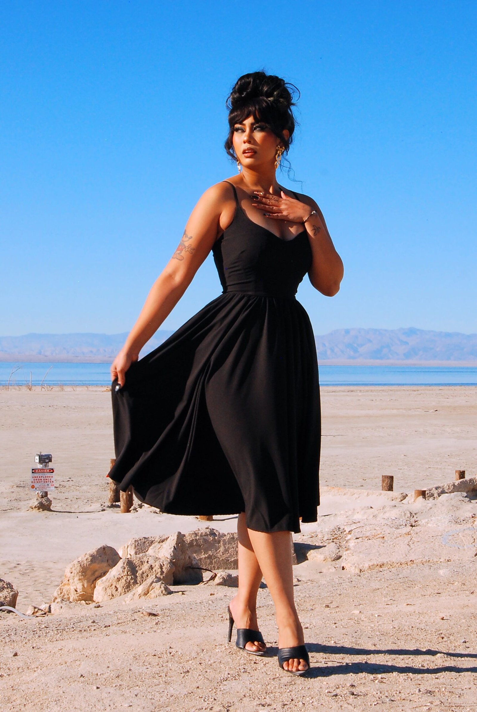 Amalie Ballerina Swing Dress in Solid Black